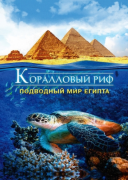 Коралловый риф: Подводный мир Египта