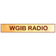 W240AS - WGIB - 95.9 FM - Wilmington, US