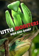 Little Monsters - Hide & Cheat