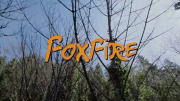 Foxfire