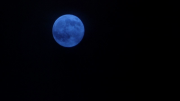 Still Of The Night