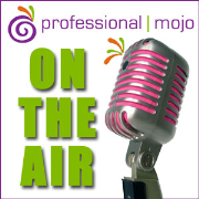 Professional Mojo - Webinars and Social Media Training | Blog Talk Radio Feed
