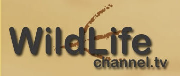 Wildlife Channel - UK