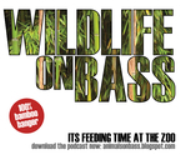 Wildlife On Bass (iPod)