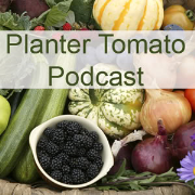 PlanterTomato Podcasts