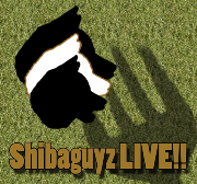 Shibaguyz LIVE!!