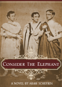 Consider The Elephant - A free audiobook by Aram Schefrin
