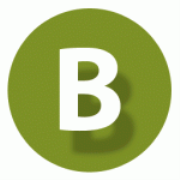 Beat Blogging