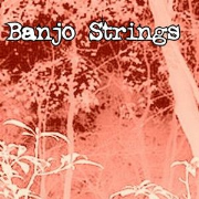 Banjo Strings Virtual Book Tour