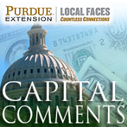 Capital Comments