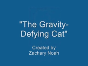 The Gravity-Defying Cat