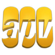 apv's - THE BRIEF
