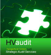 HVaudit-Audit Tips
