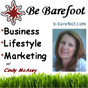 Barefoot Mentoring Strategies