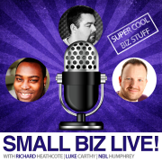 Small Biz Live - Biz Issues For Biz Owners