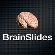 BrainSlides Podcast