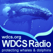 WDCS Radio
