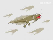 Frog-sational Facts