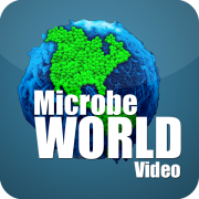 MicrobeWorld Video - Audio Only