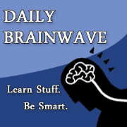 The Daily Brainwave