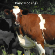 Dairy Moosings