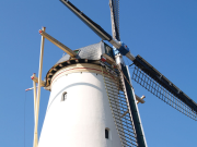 BioethicsStudyAbroad2011