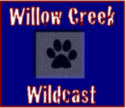 Willow Creek Wildcast