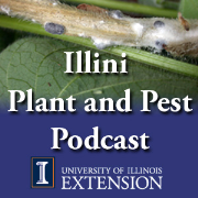 Illini Plant and Pest