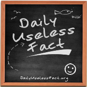 Daily Useless Fact - Your Daily Dose