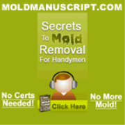 Secrets To Mold Removal And Mold Remediation