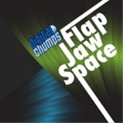 Flap Jaw Space