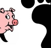 Hogcast