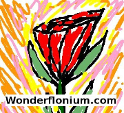 Wonderflonium.com Podcast
