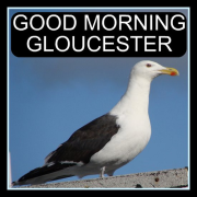 Good Morning Gloucester