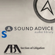 ABA Section of Litigation's Sound Advice
