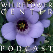 Wildflower Center Podcast