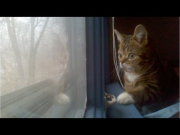 Baby BUB Sees Snow for the First Time (plus cleans beard)