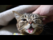 The Gift of BUB