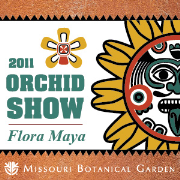 Missouri Botanical Garden Orchid Show 2011