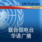 联合国电台华语广播 