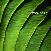Wellcast » Podcast