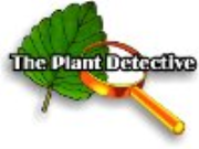 Plant Detective