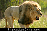 Primal Low Carb Podcast