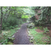 Alive & Direct | Blog Talk Radio Feed