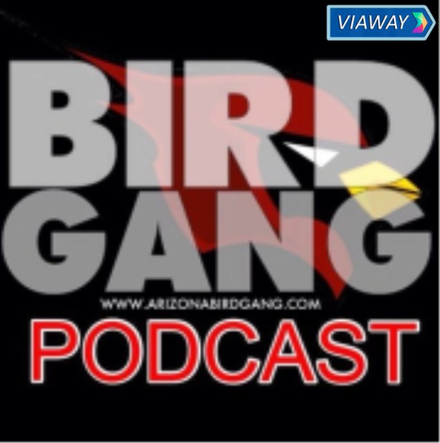 Listen Arizona Birdgang Podcast on Viaway