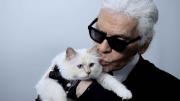 Meet Karl Lagerfeld's Cat, Choupette, Who Made $3 Million in a Year