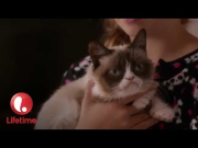 Grumpy Cat’s Worst Christmas Ever