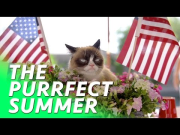 Grumpy Cat & Friends Star in "Cat Summer" Music Video for Charity