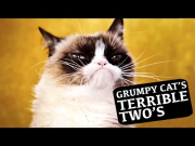 Happy 2nd Birthday Grumpy Cat! - Friskies Party Mix Cat Treats