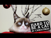 Grumpy Cat Stars in "Hard To Be a Cat at Christmas" Music Video